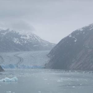 Meet your Posher, Sandy